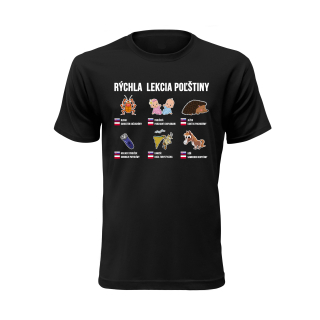 Vtipné tričko s potlačou "Rýchla lekcia poľštiny"